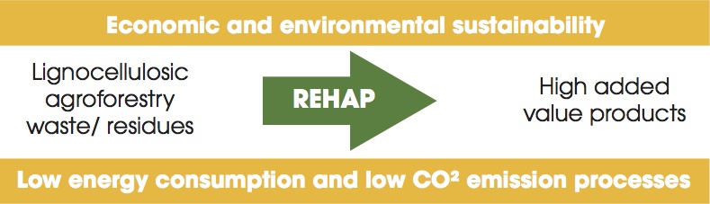 rehap arrow diagram copy